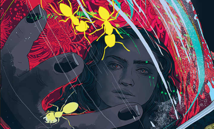 יומיות 30.11.2025: רשימות ספרי המדב"פ הבולטים של 2025